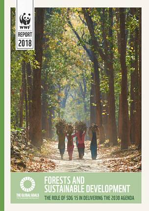 Forests and Sustainable Development: the role of SDG 15 in delivering the 2030 Agenda